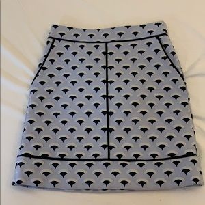 Ann Taylor Skirt